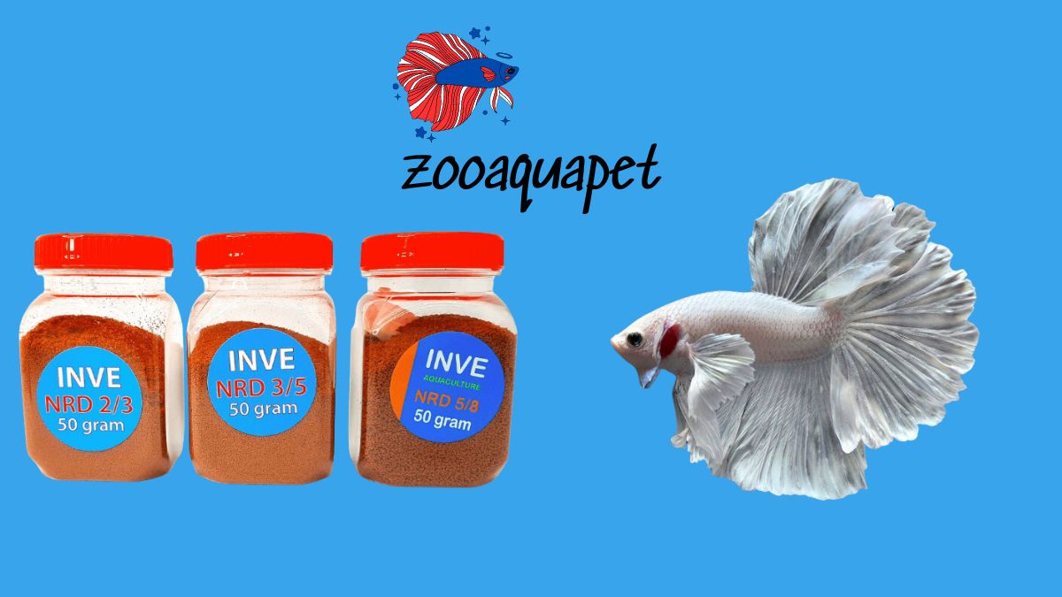 Thành phần dinh dưỡng có trong cám cá Betta zooaquapet